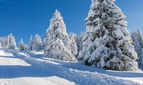 冬天的雪景