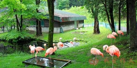 秋游红山动物园