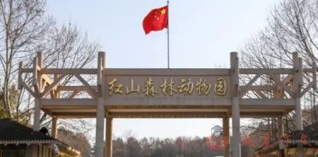 游动物园