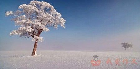 雪给我的感悟