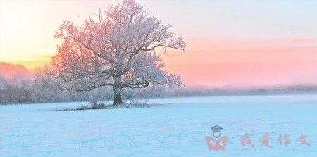 二年级滑雪