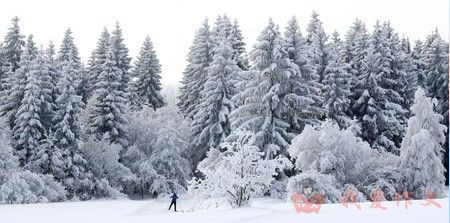 白雪公主的读后感