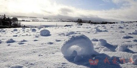 春雪